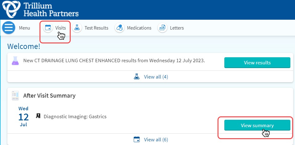View summary button